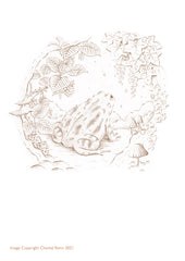 Colouring Pages - Free Downloads