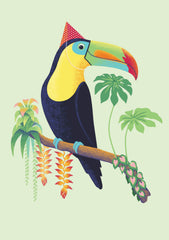 Toucan Birthday Card